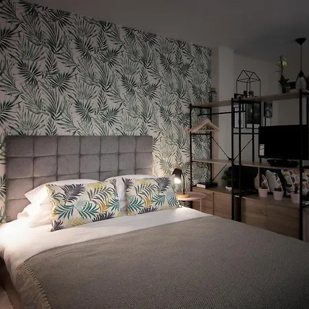 The Cozy Studio, Centre * 바르나