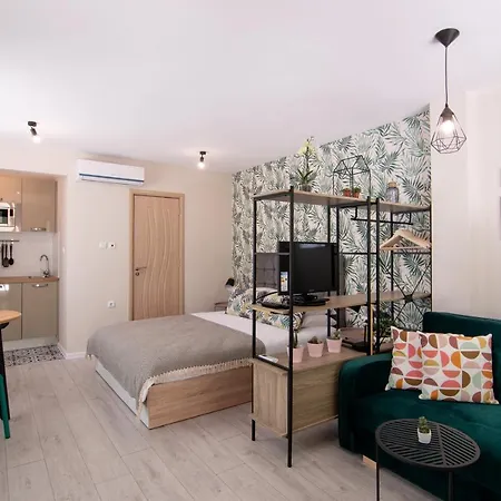 The Cozy Studio, Centre